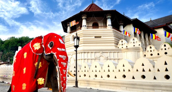 Day Day 02 –  Yalpanam(Jaffna) → Trincomalee - 