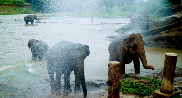 Day Day 04 : Nuwara Eliya - Bentota (5 hrs drive) - 