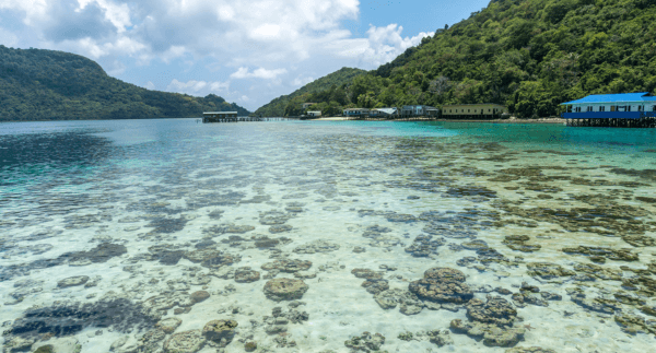 Day Day 02 : Coral Island - 