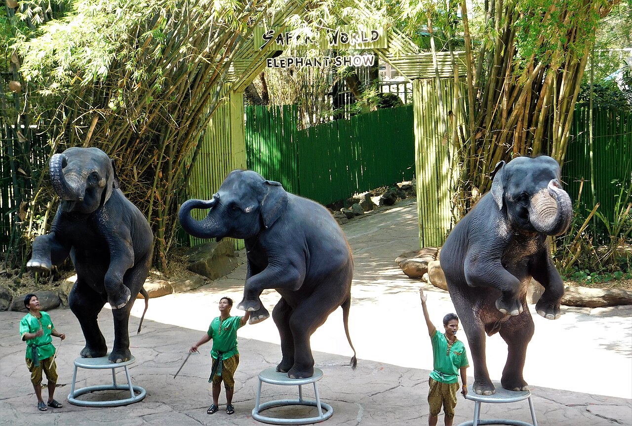 Day Day 3 : Bangkok - Pattaya - 