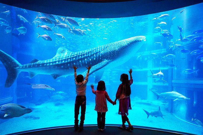 Day Day 9 : Osaka Tour - 