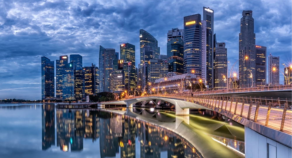 Malaysia and Singapore Group Departure ex Bangalore - Image 2